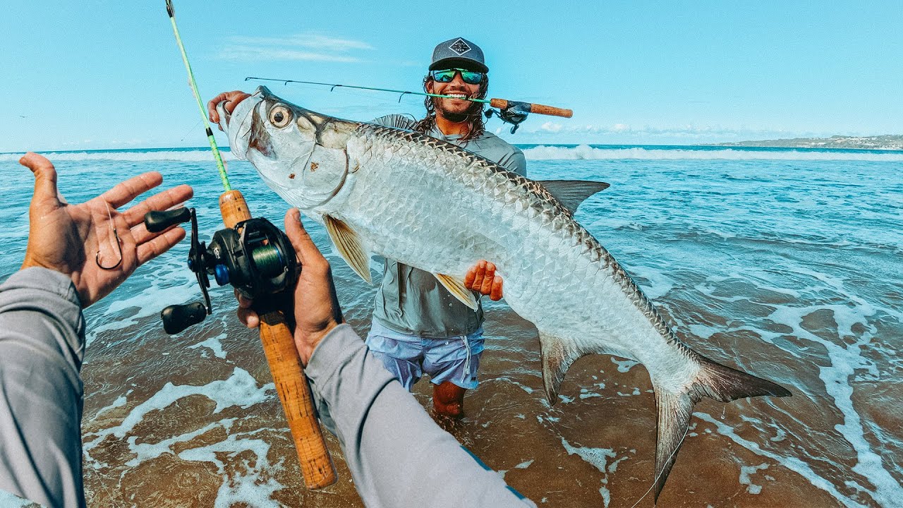 PESCA DE SABALO GIGANTE CON CAÑA MINIATURA EN PUERTO RICO
