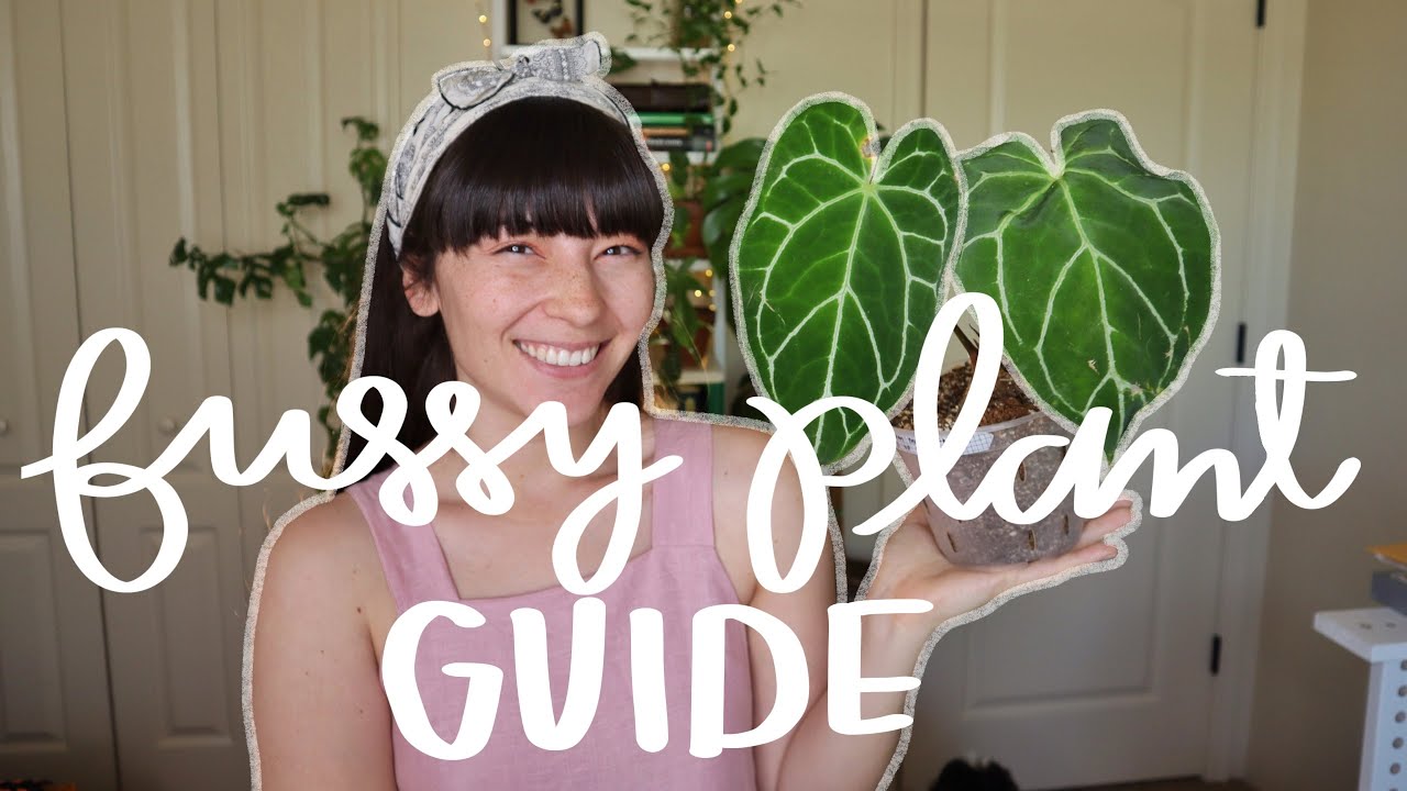How to Care for Finicky Plants | Caring for Difficult Plants