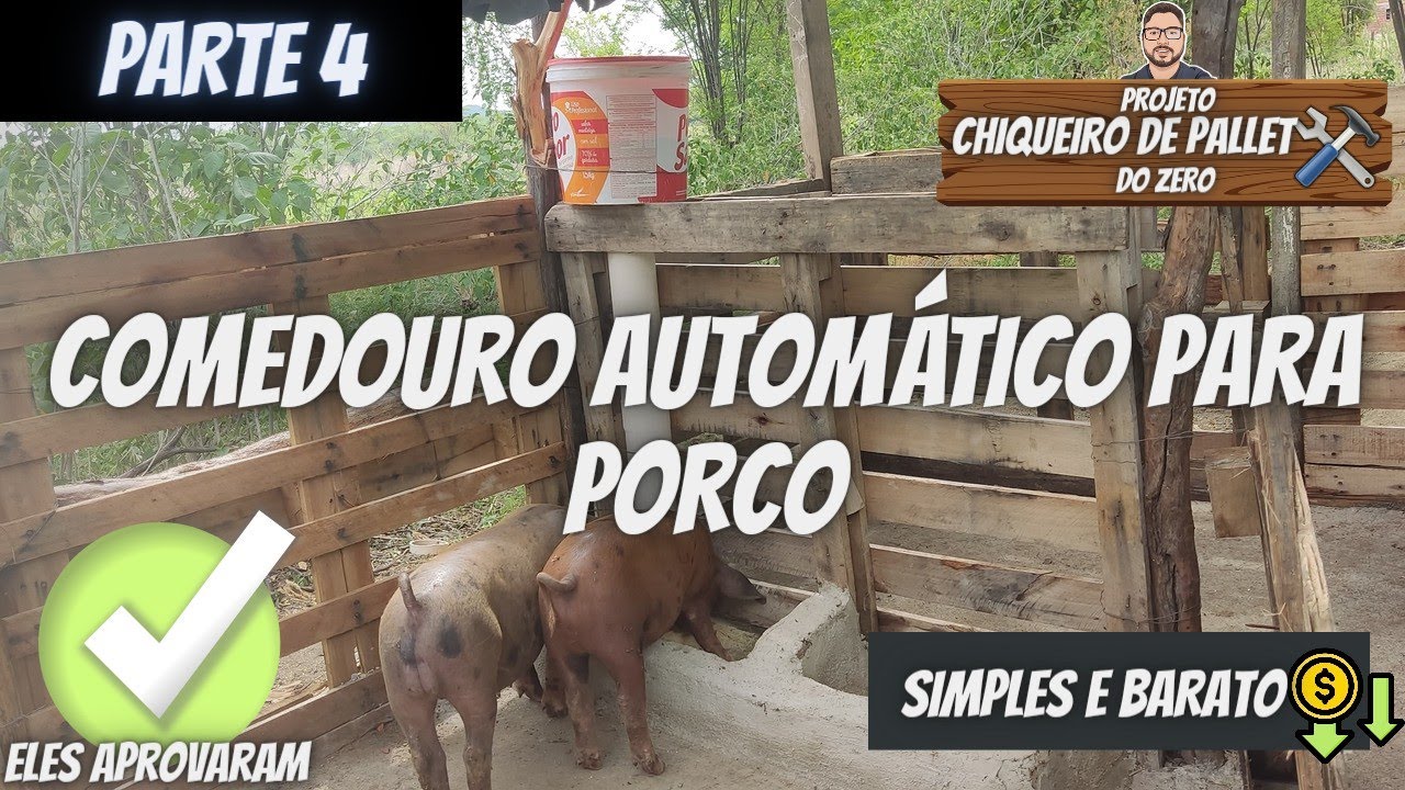 PARTE 4 - COMEDOURO AUTOMÁTICO PARA PORCO [ SIMPLES E BARATO ]
