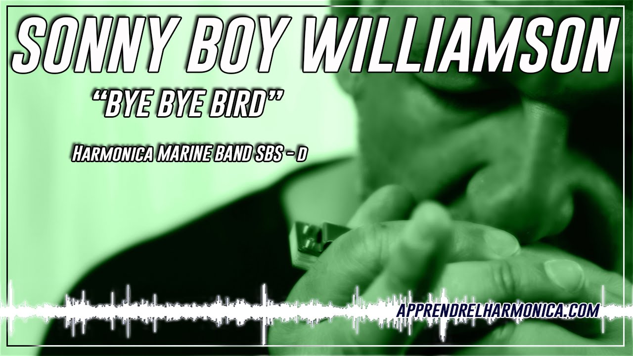 Bye Bye Bird - Paul Lassey  - Marine band SBS - www.apprendrelharmonica.com