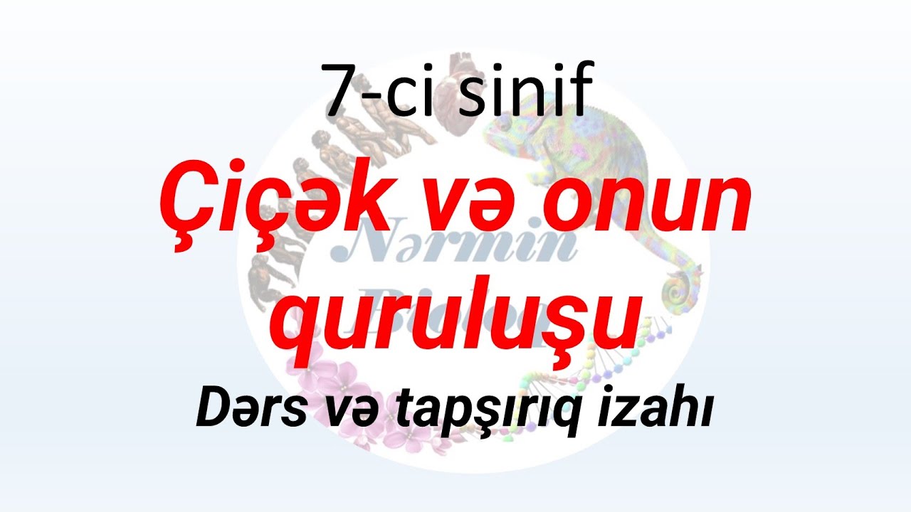 Biologiya 7-ci sinif. Çiçək və onun quruluşu dərs və tapşırıq izahı