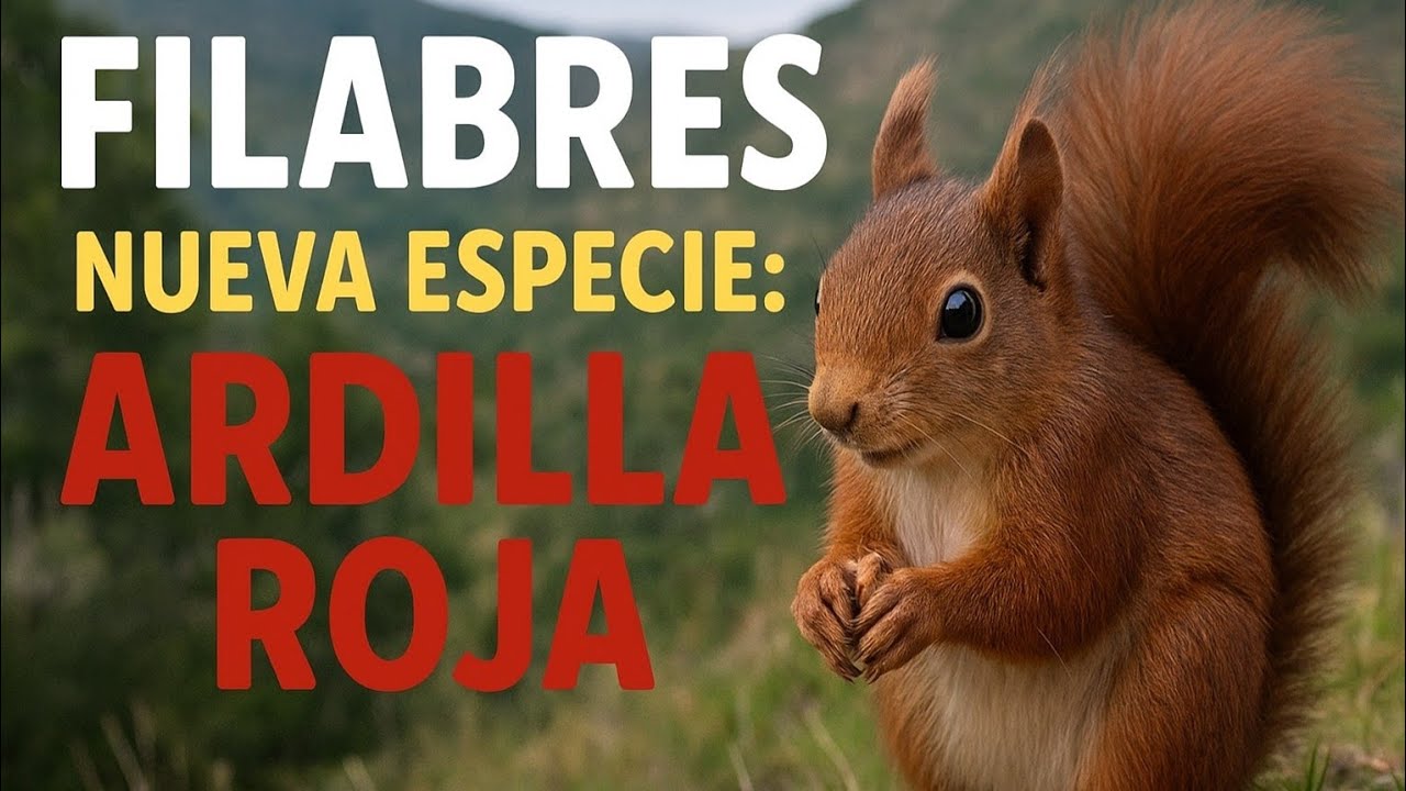 Nueva especie para la Sierra de Filabres; ardilla roja 