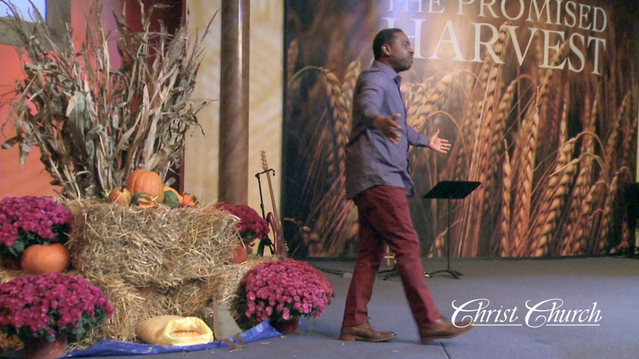 The Law of the Harvest