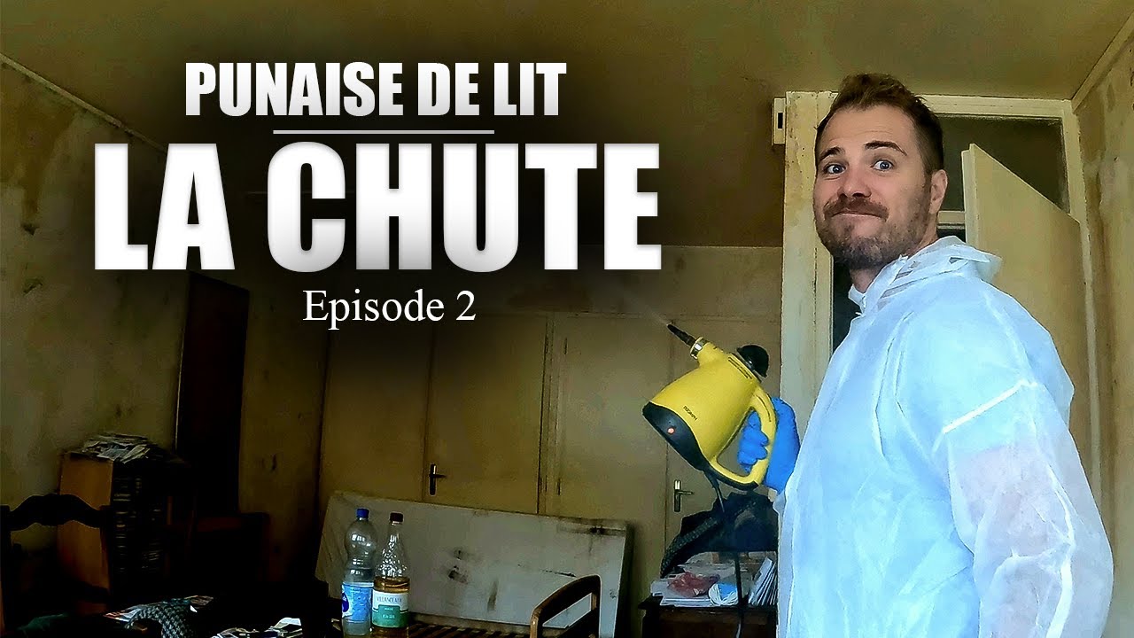 On brûle les PUNAISES DE LIT à la vapeur ! (+135°C)