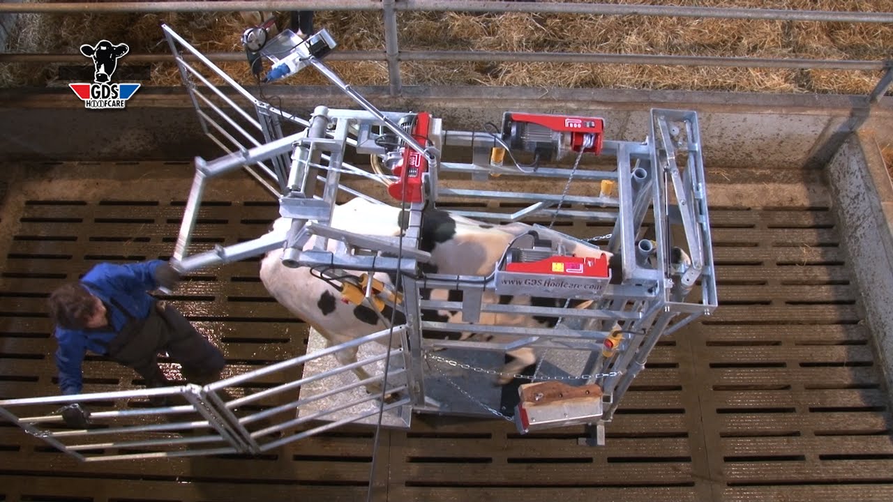 Electrische Klauwverzorgingsbox