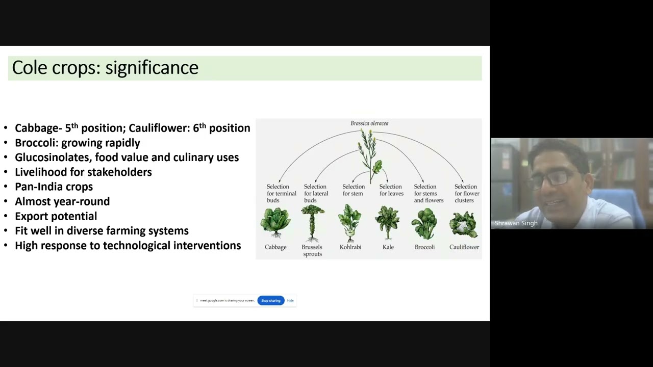 Strategic Breeding and High Tech Production of Cole Crops for Premium  Protected Market   2026 03 10