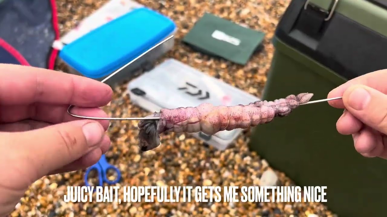 Chesil Beach West Bexington, July 31st 2023, part 3 #fishing #dorset #beach #beautiful #beachlife