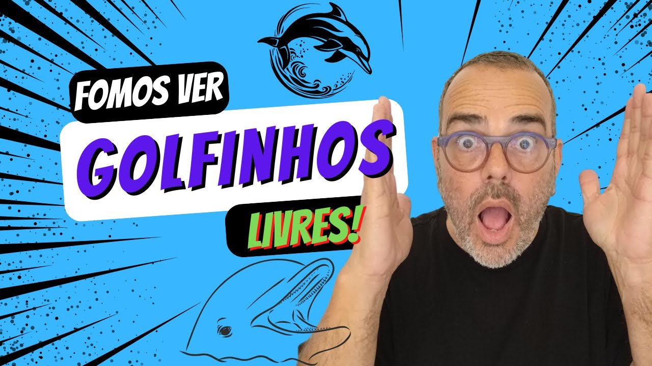 🐬 Golfinhos nadando soltos, num incrível passeio de barco.