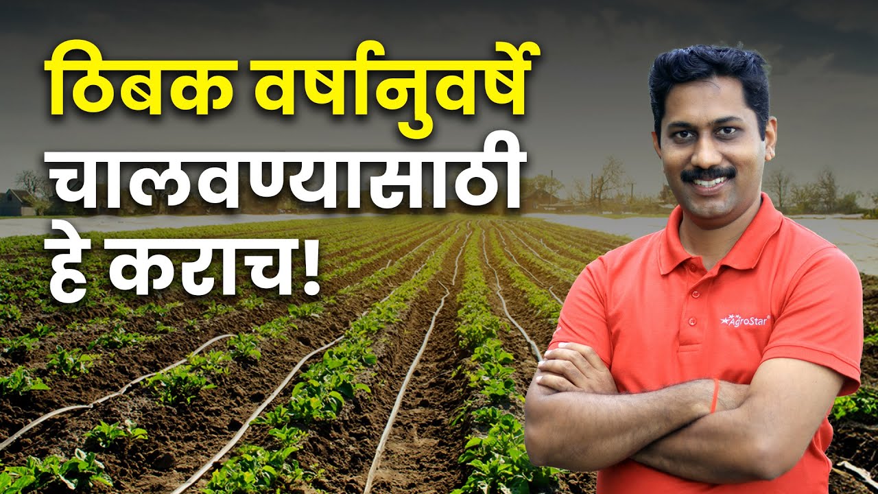 Drip irrigation 💧 जास्त काळ टिकवायचे असेल तर अशी घ्या काळजी । ठिबक सिंचन । AgroStar