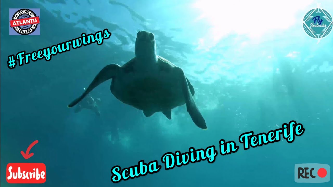 Scuba Diving at Diving Tenerife Atlantis 🤿