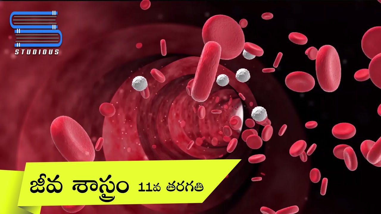 Biology Grade 11 Playlist Introduction | Studious Telugu | జీవశాస్త్రం | 11వ తరగతి