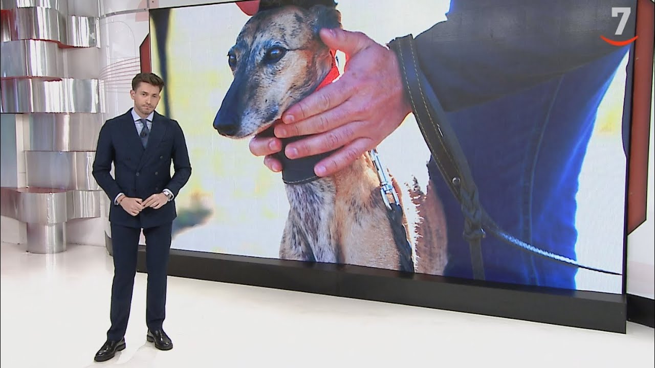 CyLTV Noticias 20:00 horas (18/01/2025)
