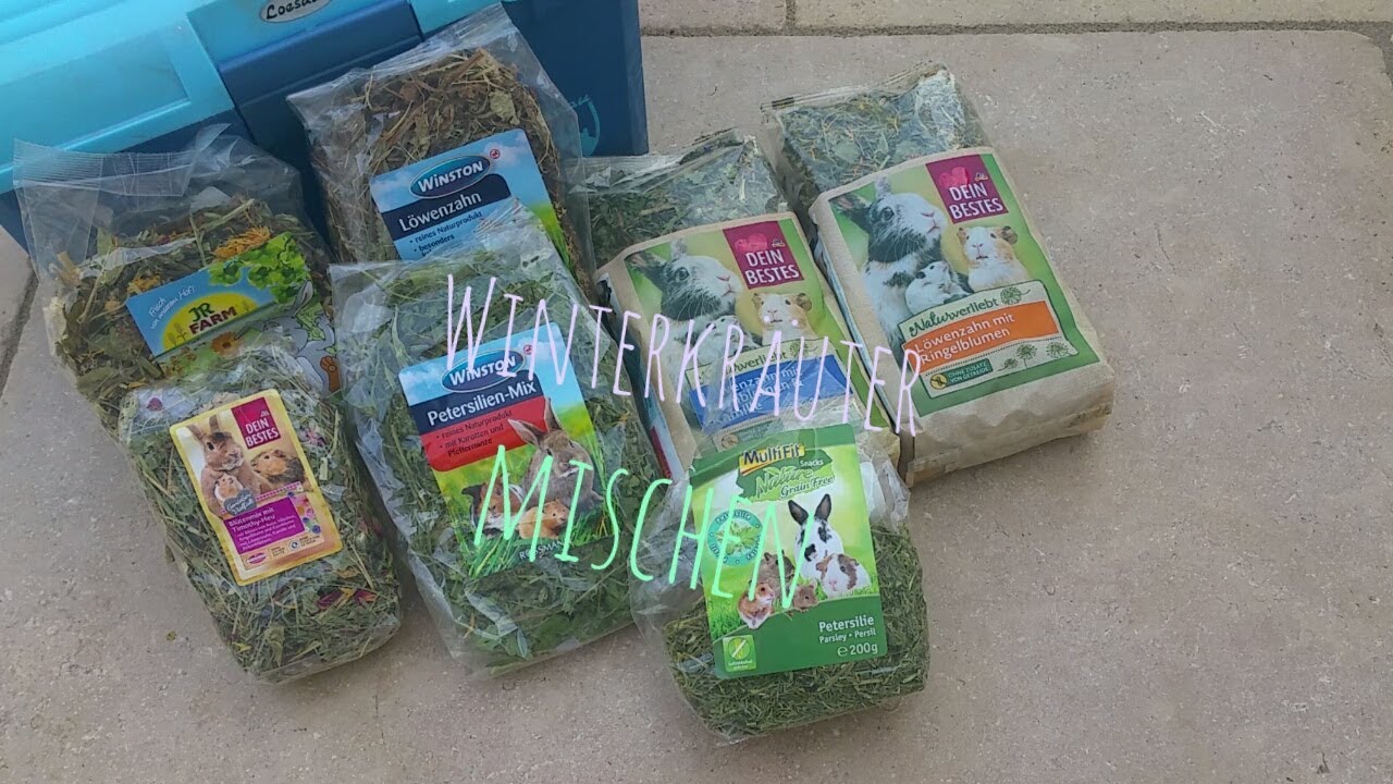 Winterkräuter mischen 🌿☘| Die Zwergis 🐇