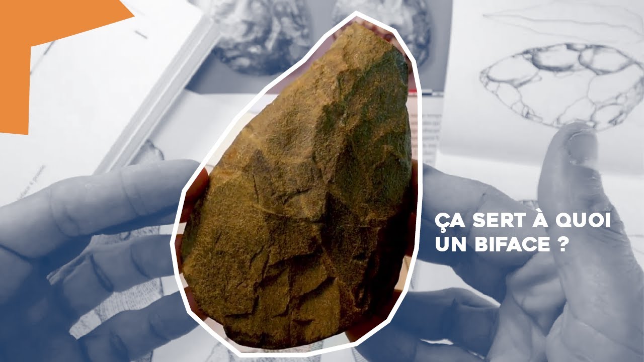 Ça sert à quoi un biface ?