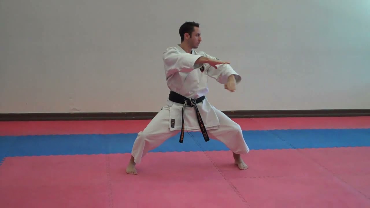 NaiHanchi Tekki Shodan fast   Warren Levi