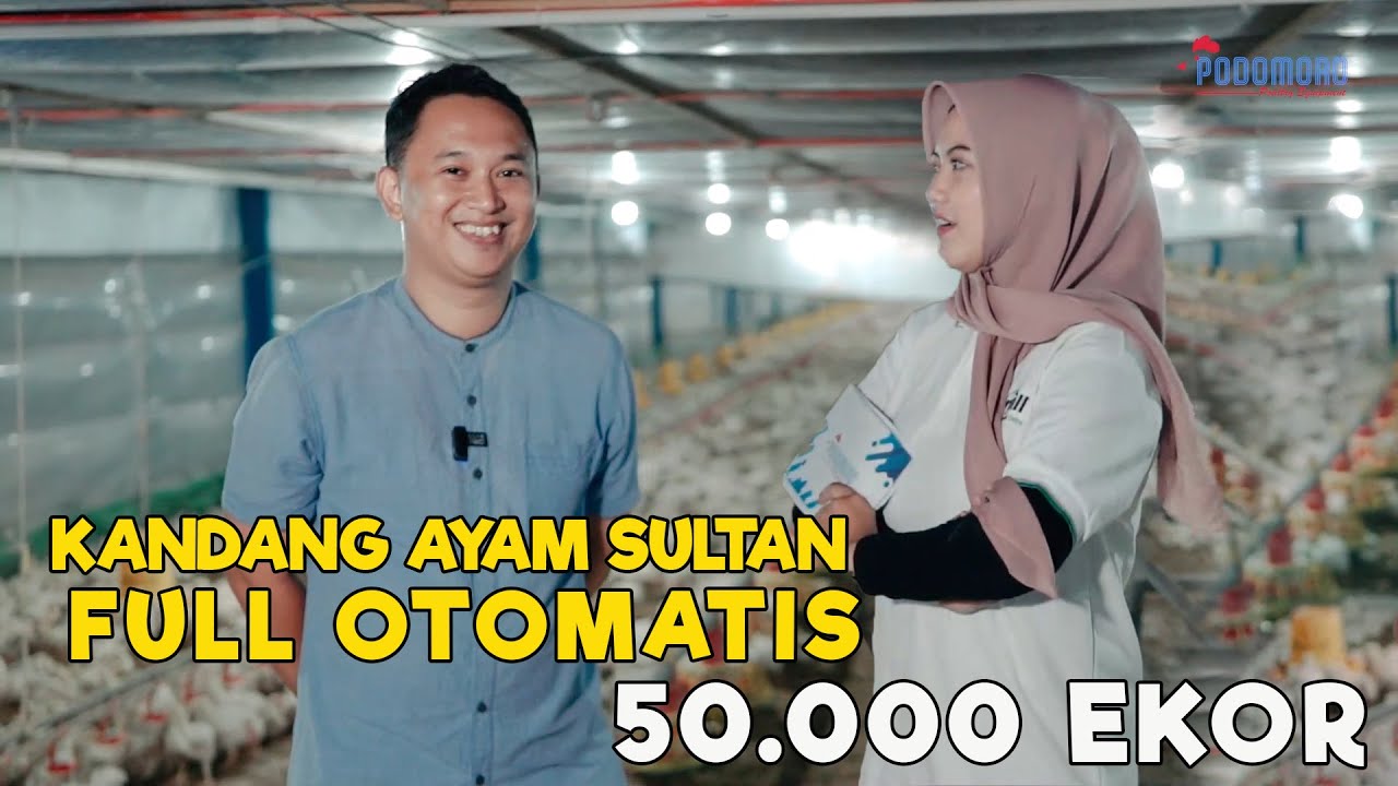 VLOG #19 || KANDANG AYAM SULTAN !!! FULL OTOMATIS !!! | KAPASITAS 50.000 EKOR