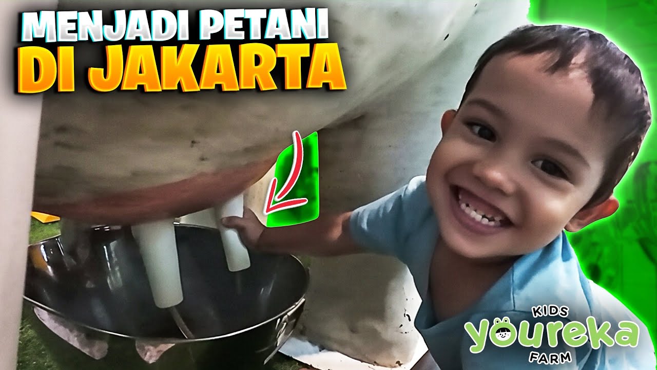 Learning to be a Farmer at Youreka Kids Farm