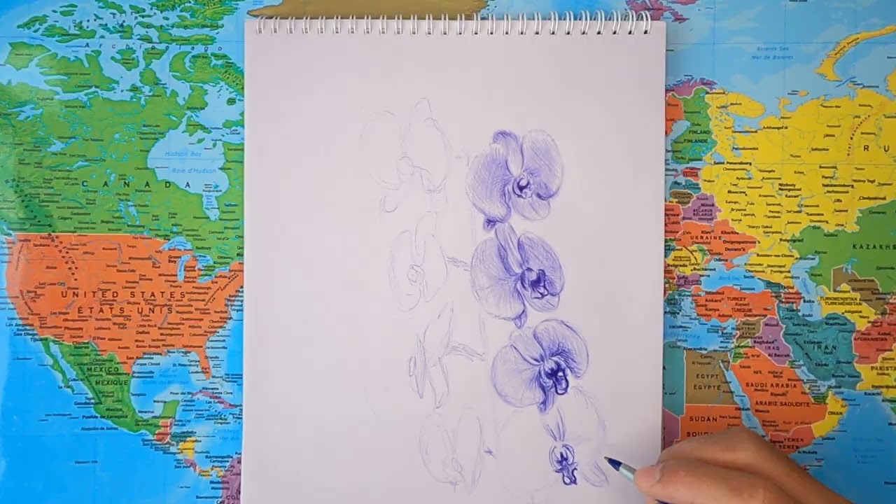 How to Draw Orchid in Winter - TIMEWARP | Blue Pen Botanical Art Inspired by Frozen River 🌊❄️