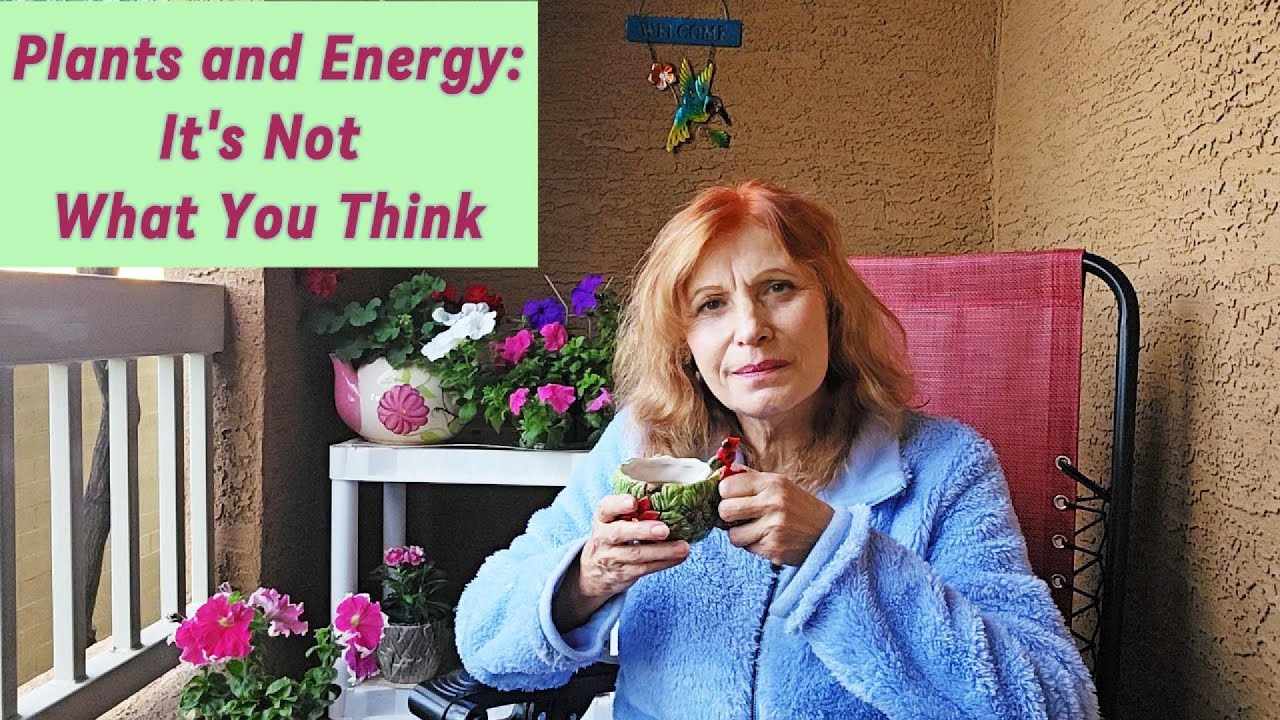 Plants and Energy: It's Not What You Think