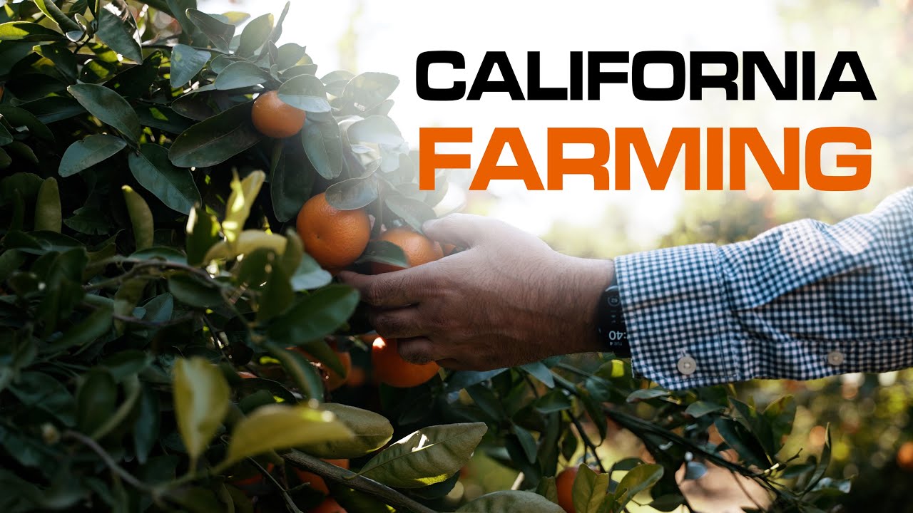 Farming In California