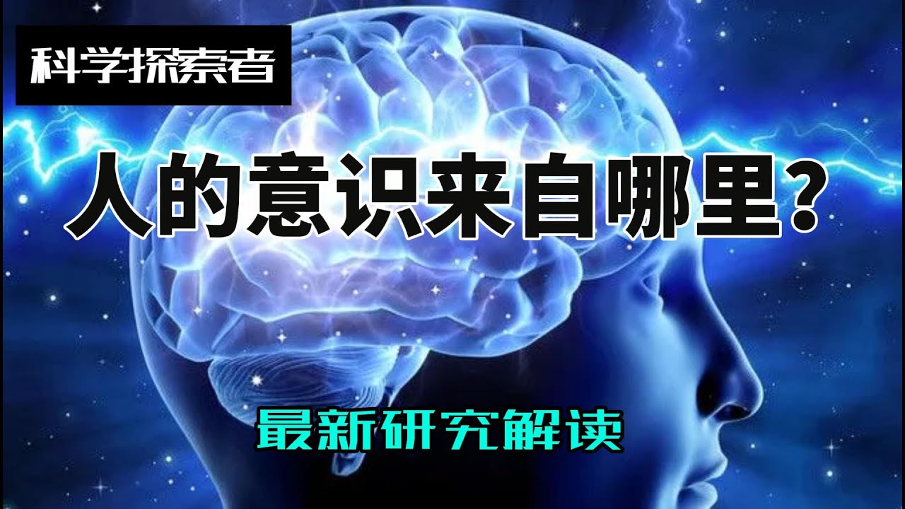 人类的意识是从何而来的？| 科学前沿