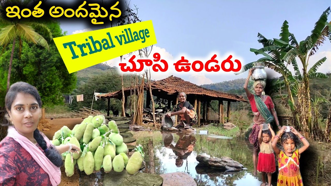 Beautiful village near maredumilli|tribal village/@swatis mania