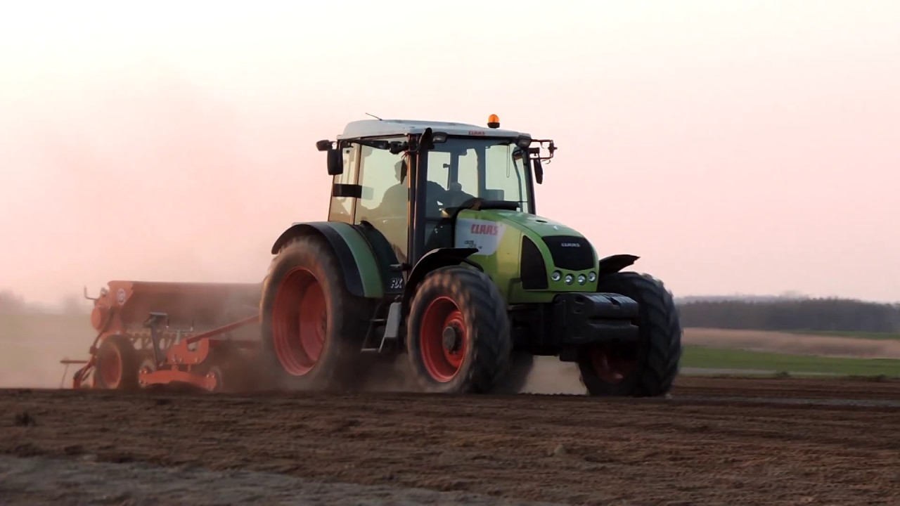 ☆Nowy Nabytek 2020☆Siew Grochu Batuta| Claas Celtis 456plus&Unia Ceres L