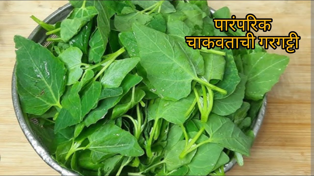 सुवासिक गावरान झणझणीत चाकवताची गरगट्टी| थंडीसाठी खास चाकवताची गरगट्टी आणि भाकरी