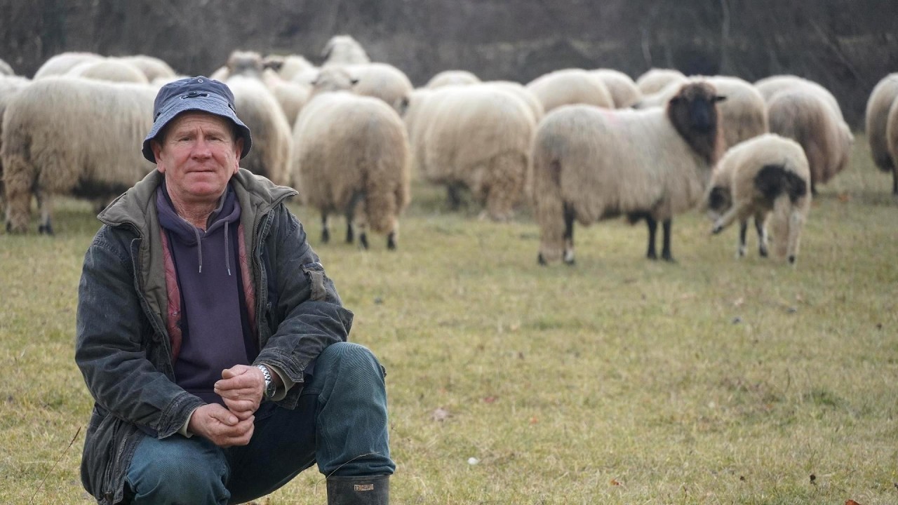 HTIO RASPRODAT SVE OVCE  POČELO GA HILJADU BOLEST NAPADAT  KAŽEM  VRAĆAJ  OVCE