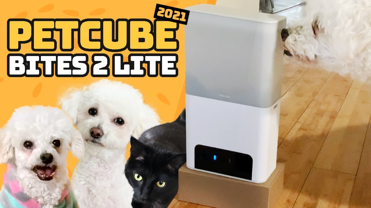 Petcube Bites 2 Lite 2021 | Full Features Review + Dog and Cat Reaction 🐾