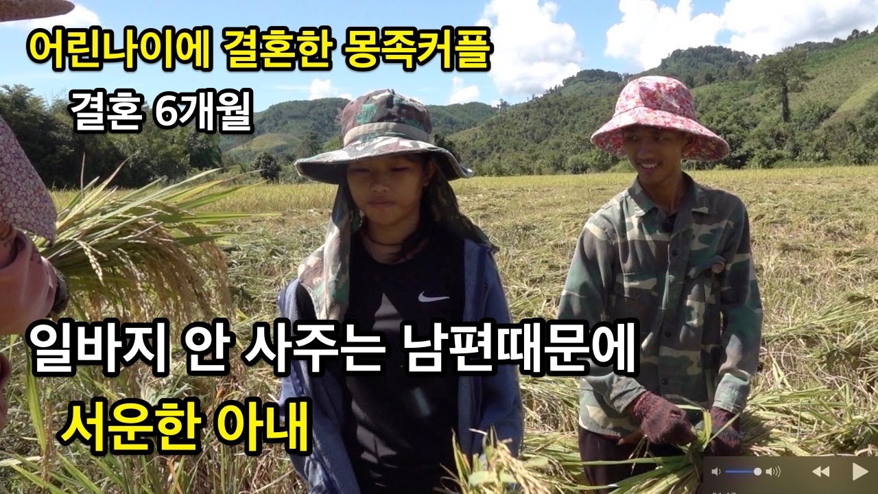쑤아부부 벼베기 하는 날 / 결혼 6개월차 몽족부부의 이야기.