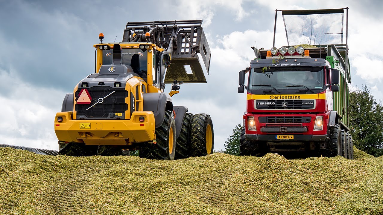Mais Silage / Terberg Agro Truck + Fendt + Claas / Cerfontaine / Maishäckseln / Maize