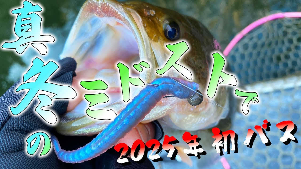 【バス釣り】実はディープで浮いてる？冬バス攻略【三河湖】【ミドスト】