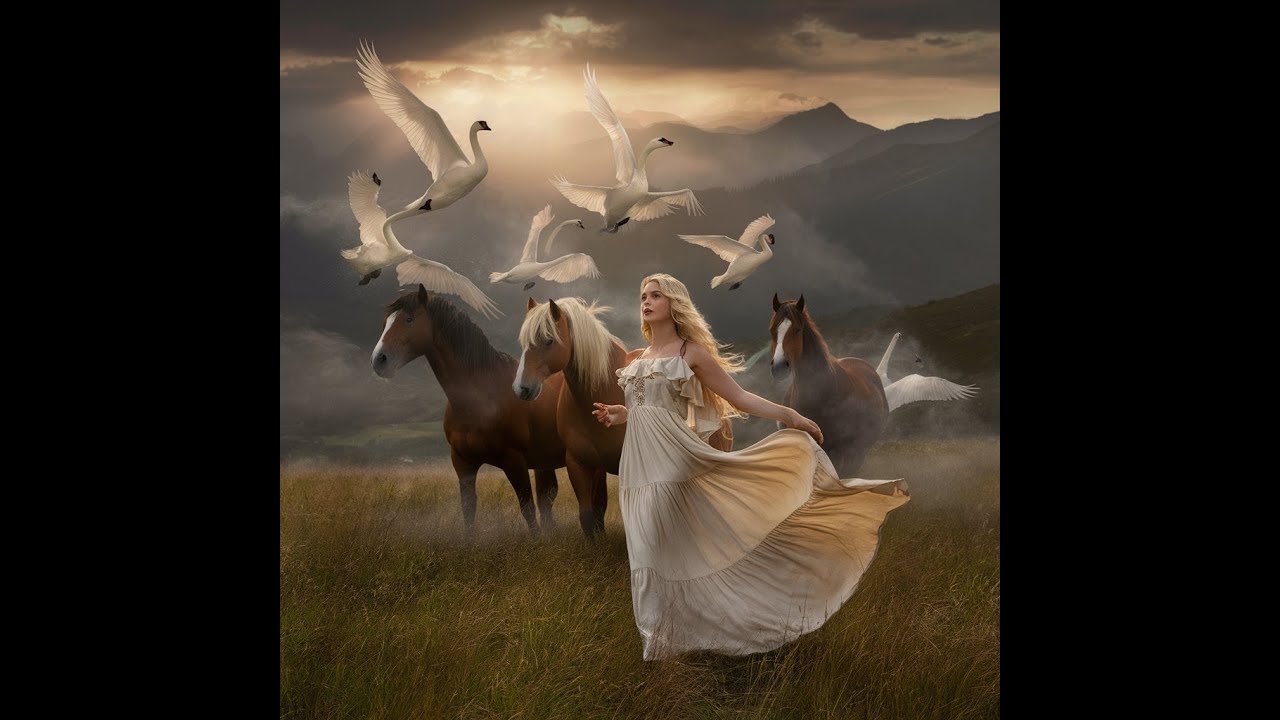 Swans Remember  Love       Celtic Folk Music Inspired by Horses & Nature