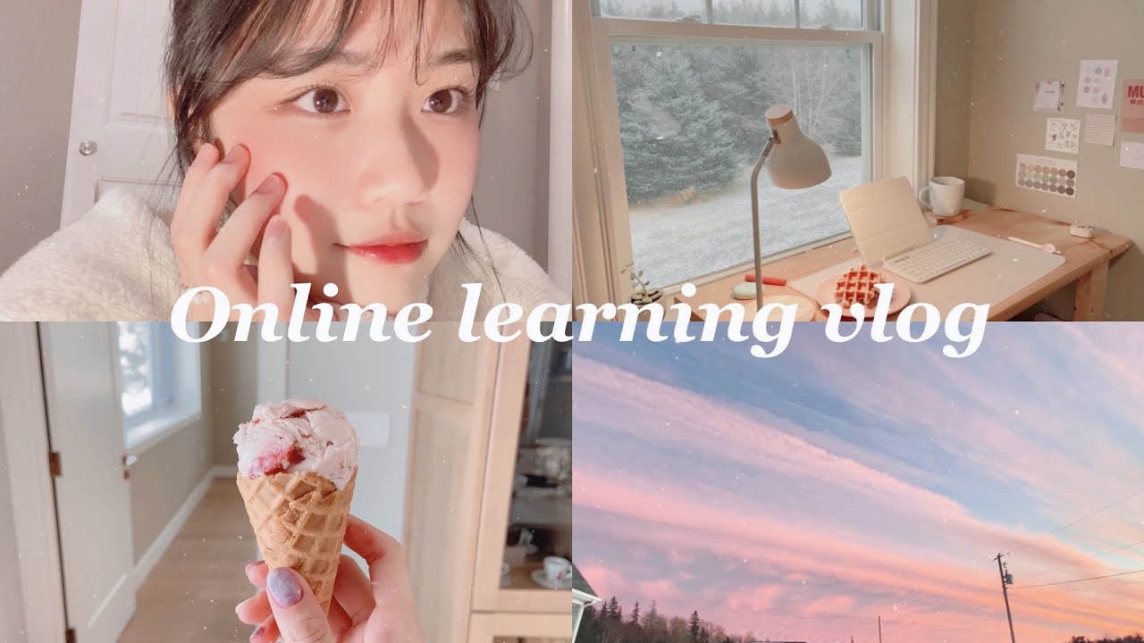 vlog# 14 加拿大高中生網課日常！暴風雪停電？！online school vlog //titibettyy