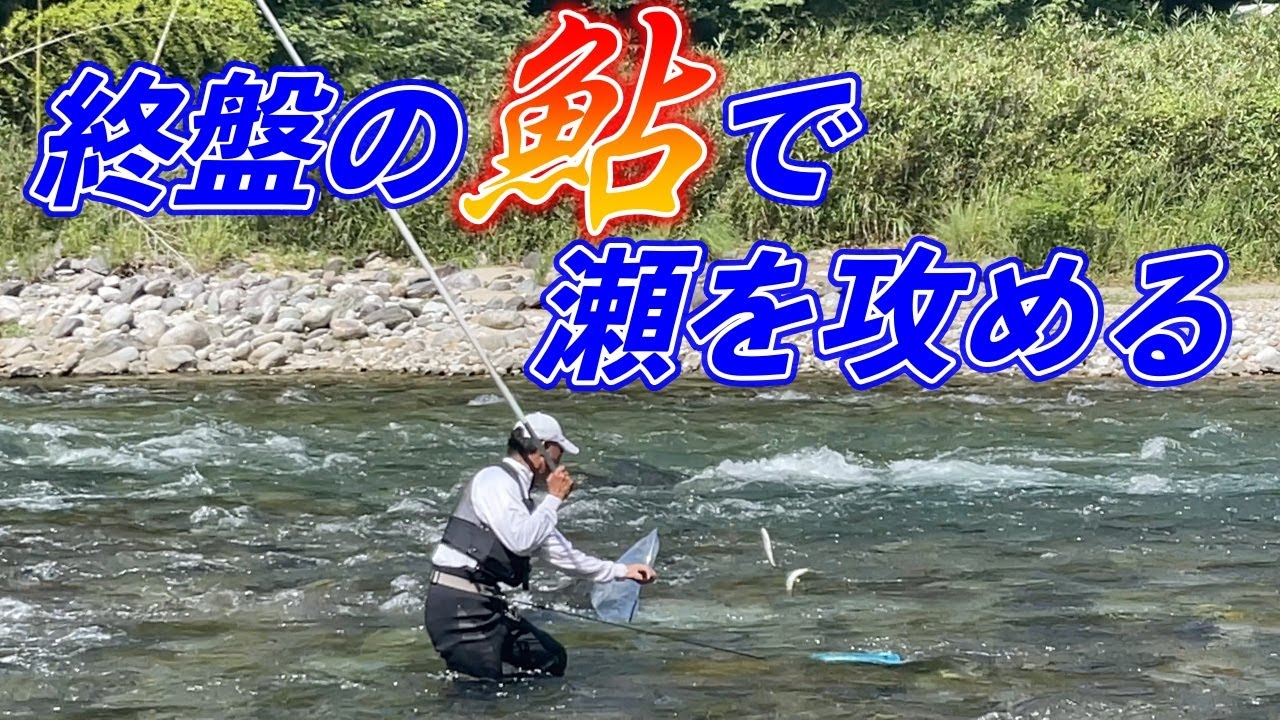 鮎釣り終盤戦。夏の終わりに鮎と戯れてみた！！