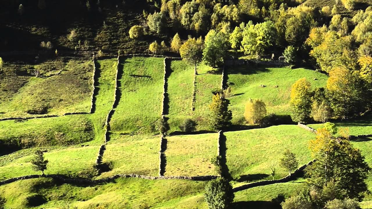 Gestión de Bosque Atlántico
