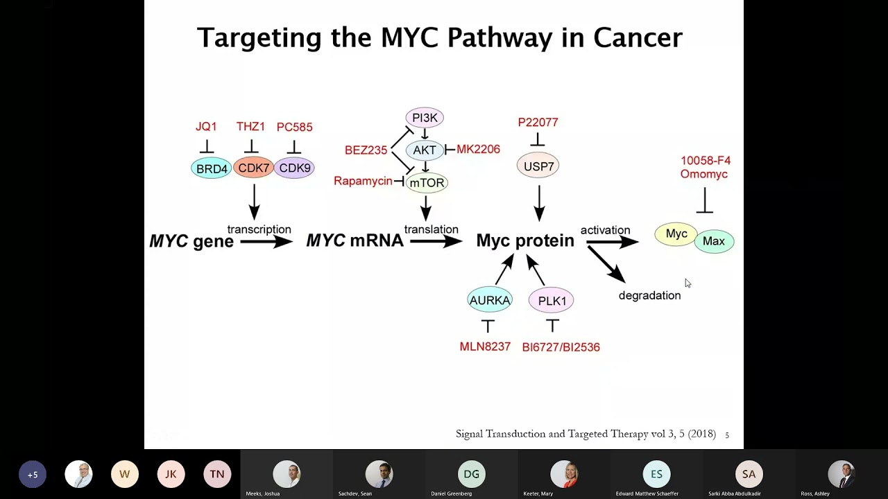 Small Molecule MYC Inhibitors for Cancer Therapy