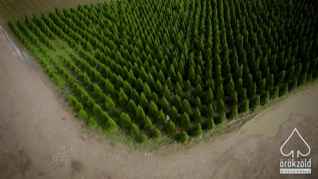 &Ouml;r&ouml;kz&ouml;ld D&iacute;szfaiskola - Szombathely