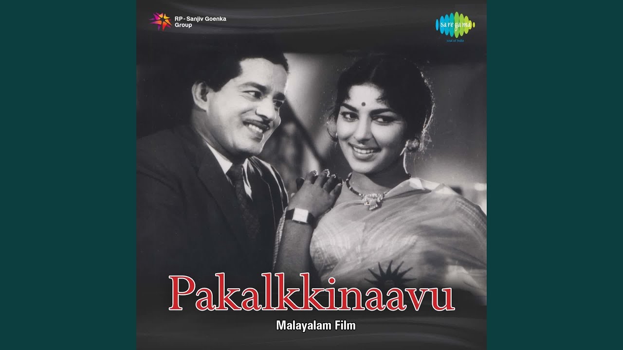 Nidrathan Neerazi