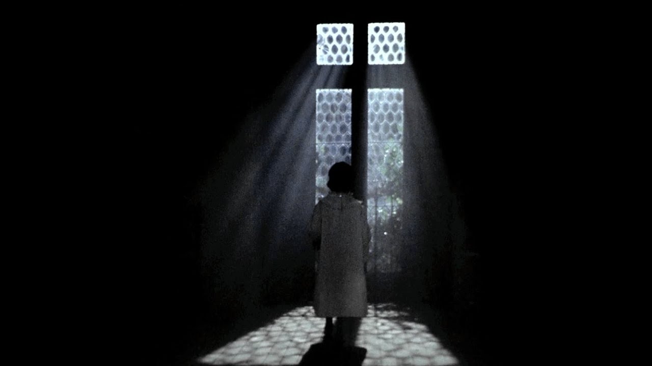 Haunted memory: the cinema of Víctor Erice