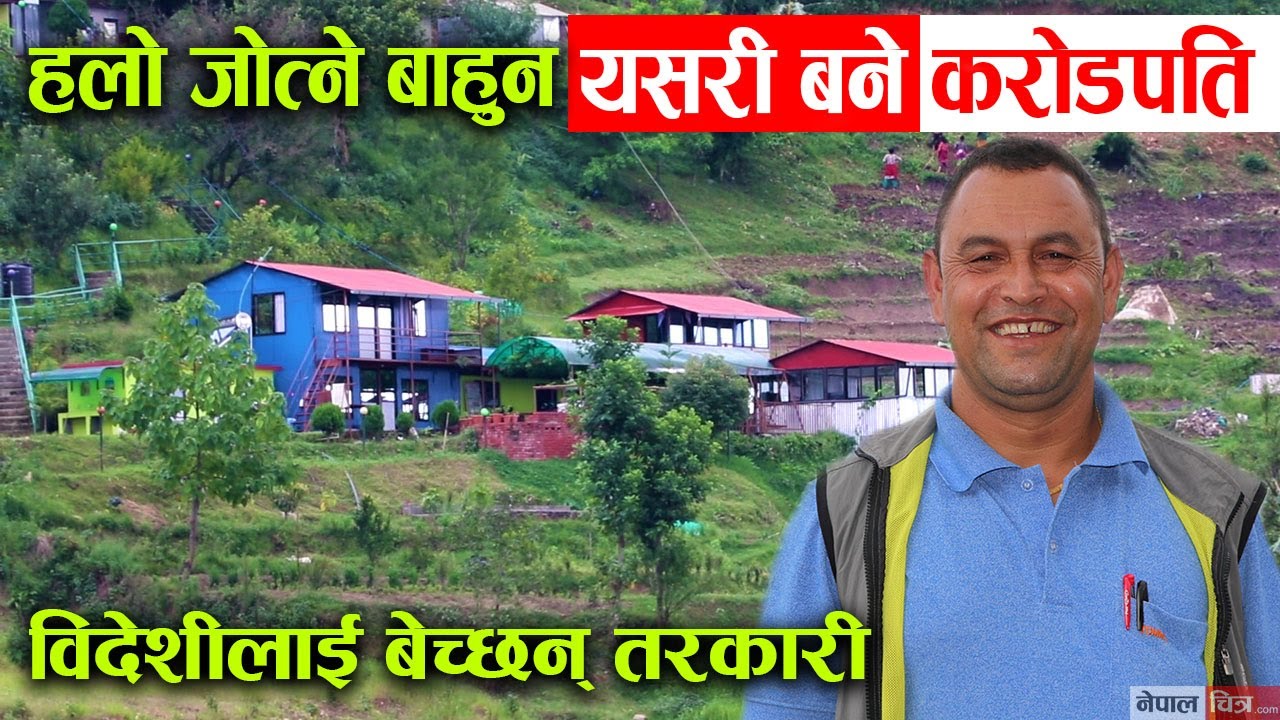 हलो जोत्ने बाहुनको छोरो यसरी बने करोडपति, विदेशीलाई बेच्छन् तरकारी ! │Nepal Chitra