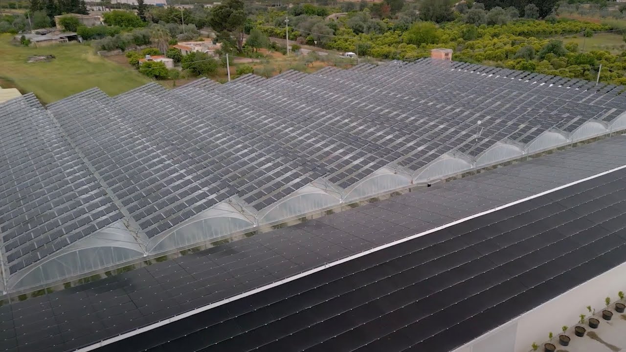 Energy - Impianto Agrivoltaico - ZeroCO2 XL a Comiso (Sicilia)
