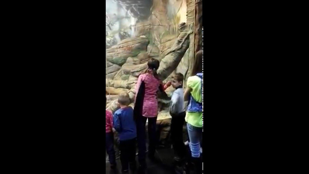 VID 20151206 161223