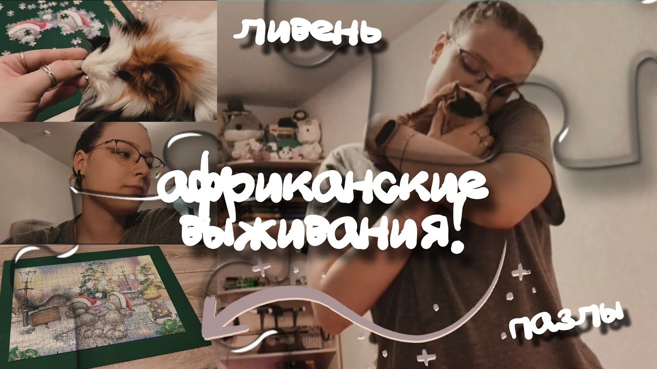 пазлы головного мозга и отсутствие воды