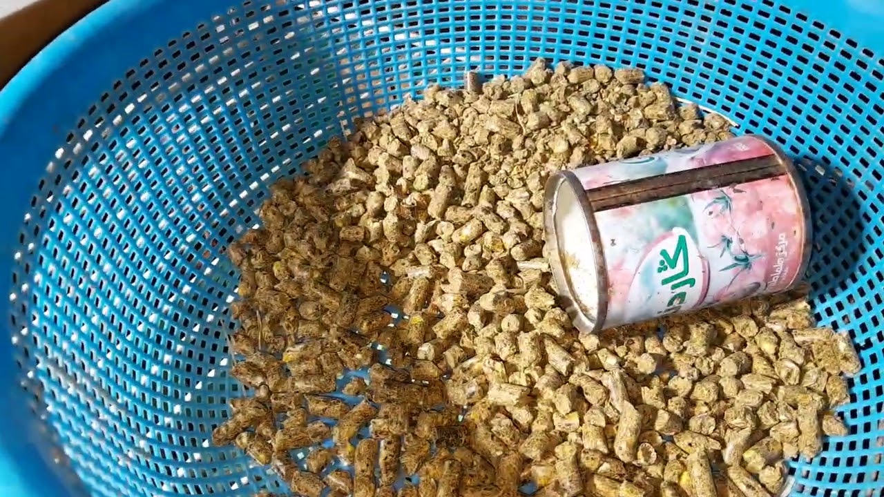 الطريقة الصحيحة لتقديم الأكل للأرانب 🐇 للحفاظ على القطيع وإنتاج جيد 🍂