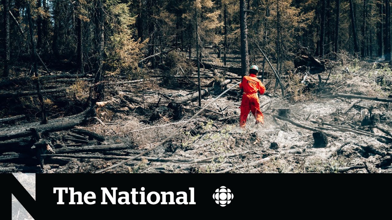 Quebec overwhelmed by more than 150 wildfires