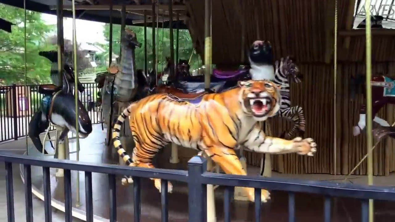 Zoo Carousel Ride