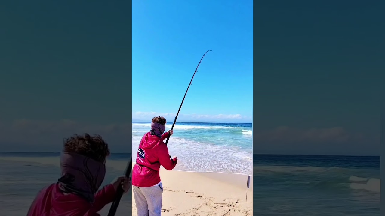 #fishing  #surfishing #sharks #shimanofishing