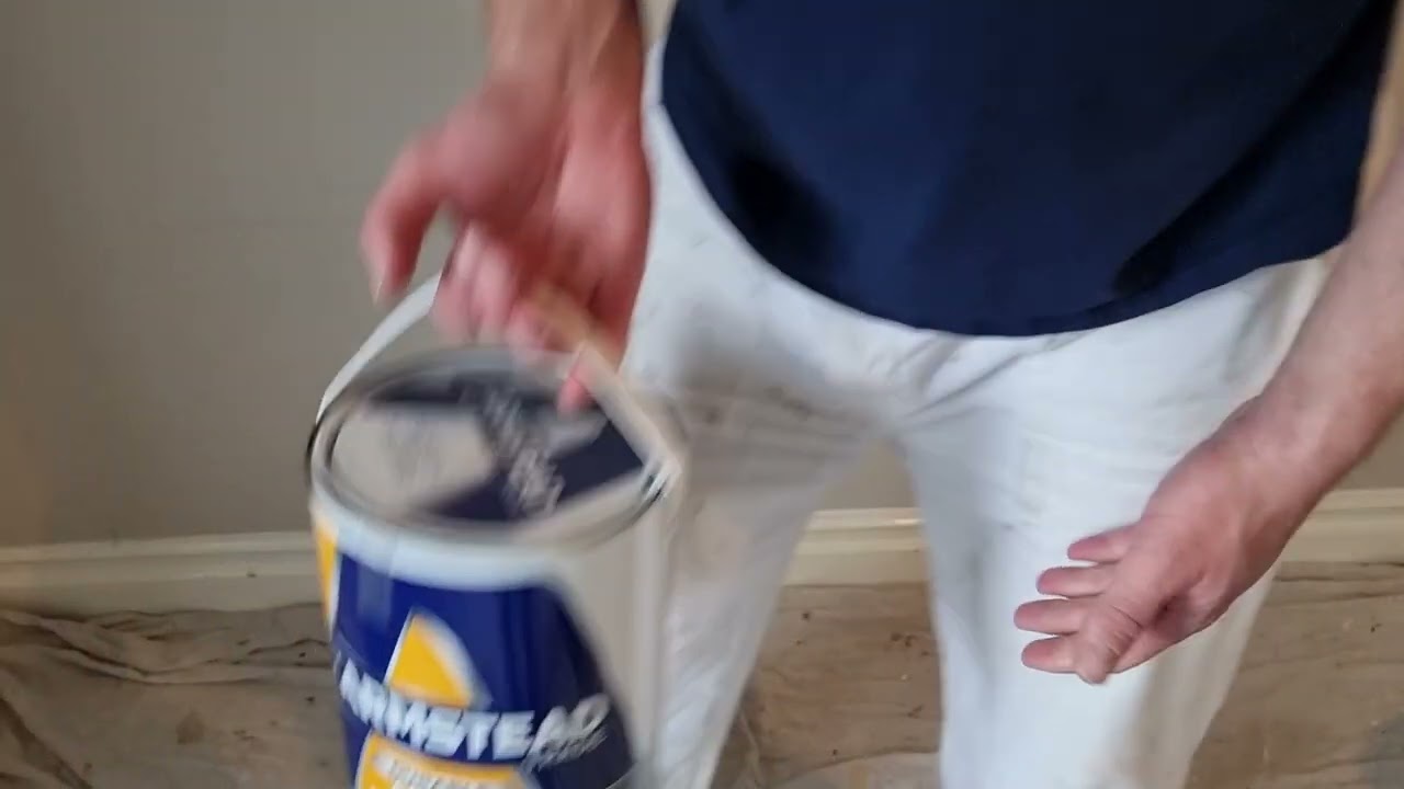 Good Quality Paint for Decorating